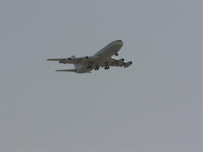 fly16.jpg