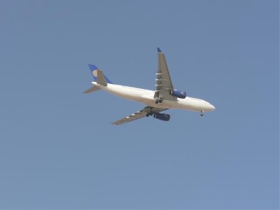 fly18.jpg