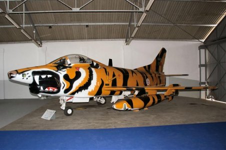 6G91TigerPRDSCF6904.jpg