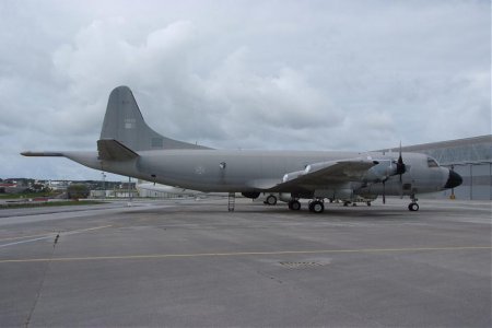 4P3PortRDSCF7070.jpg