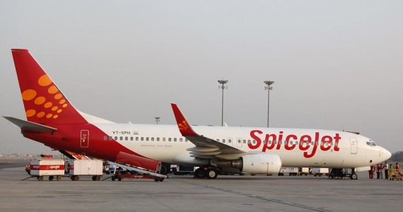 spice.jpg
