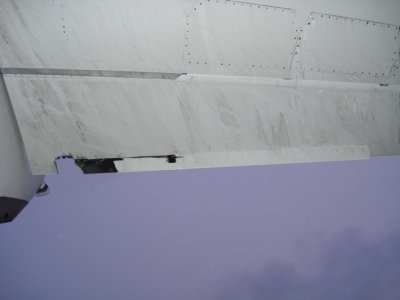dsc00125hc6.jpg