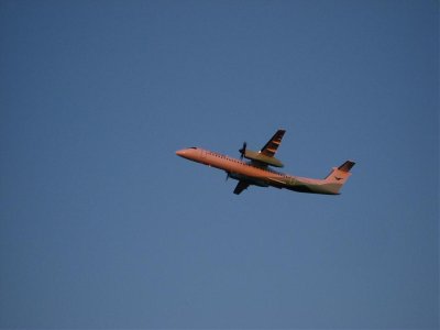 IMG_2050.jpg