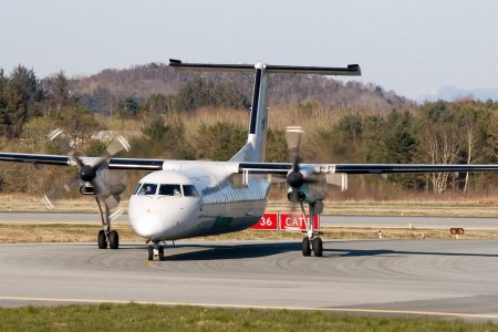 IMG_4215_2.jpg