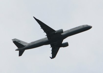 IMG_1102.JPG
