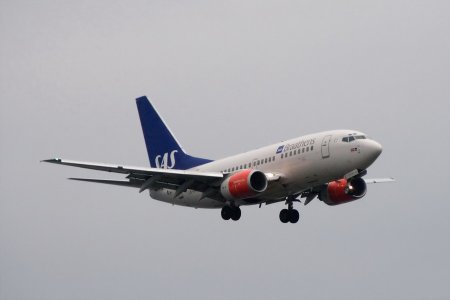 IMG_5018_2.jpg