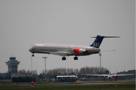 DSC_1006.jpg