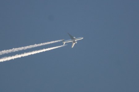 p2ana.jpg