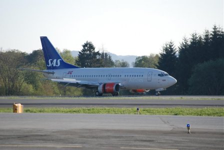 DSC_0104.jpg