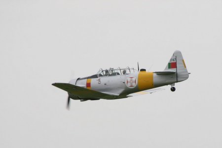 IMG_5847_2.jpg