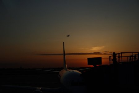 DSC_2929 (2).jpg