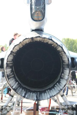 IMG_6387.jpg