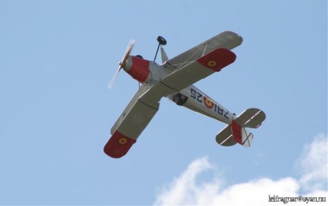 IMG_6585.jpg