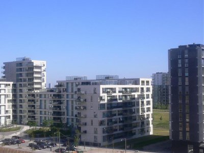 P1010253.jpg
