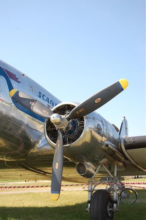 DSC_0134.jpg