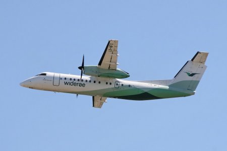 IMG_3371_2.jpg