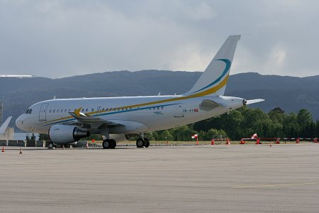 Airbus_ A318-112CJ_Elite_b_.jpg