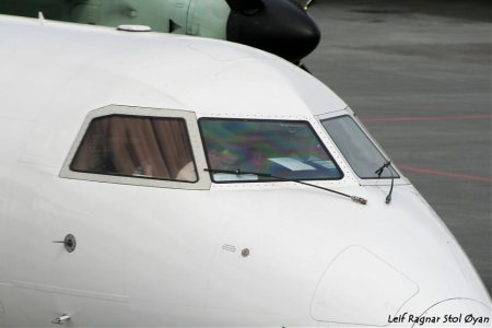 trd-004.jpg