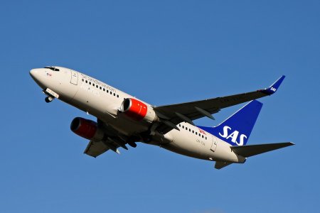 IMG_4618_2.jpg