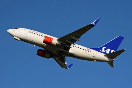 IMG_4625_2.jpg