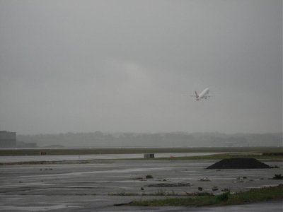 IMG_2402.jpg