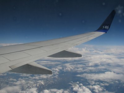 IMG_5437.jpg