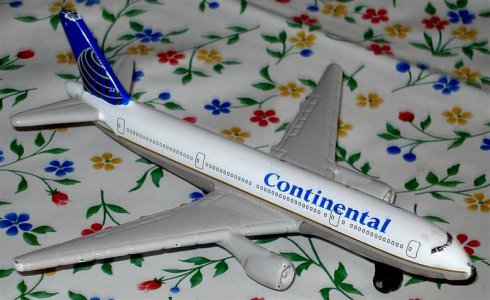 DSC03578 (Medium).JPG