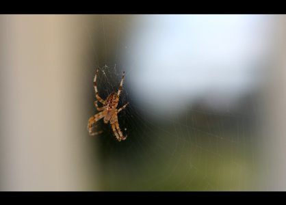 Img_0725.jpg