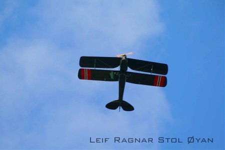 Tigermoth-02.jpg