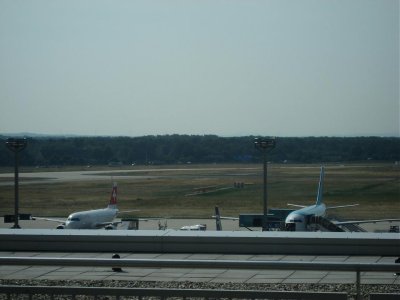 IMG_2545.jpg