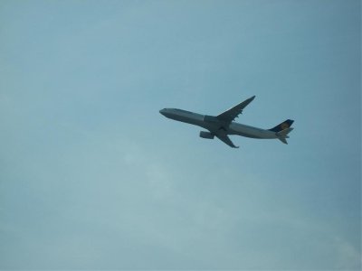 IMG_2548.jpg