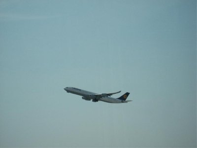 IMG_2556.jpg