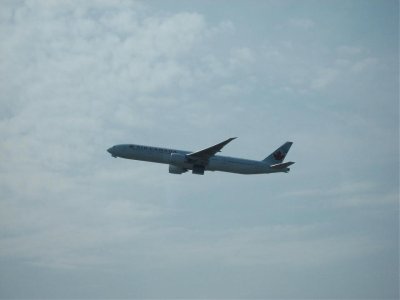IMG_2558.jpg