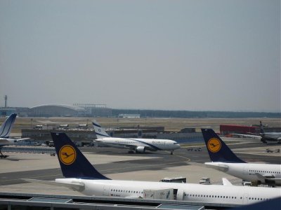 IMG_2572.jpg
