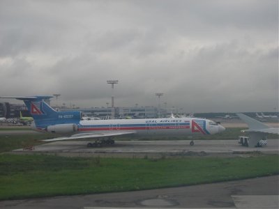 IMG_2904.jpg
