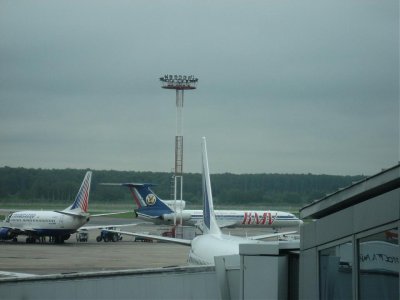 IMG_2910.jpg