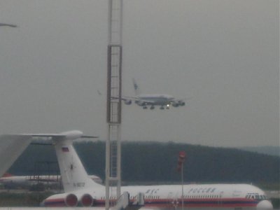 IMG_2923.jpg