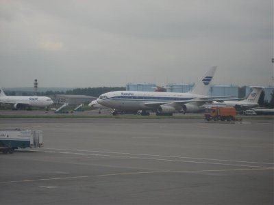 IMG_2925.jpg