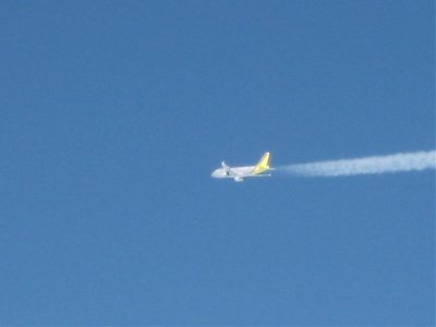 IMG_2931.jpg
