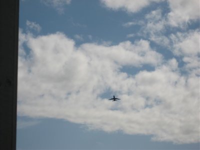 IMG_3015.jpg