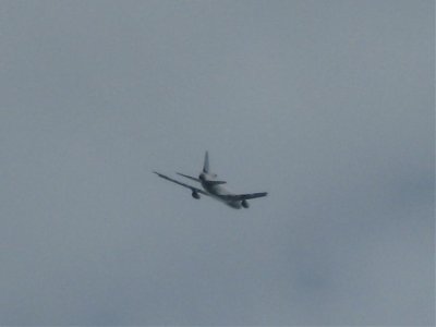 IMG_3018.jpg