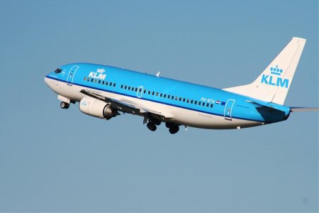 IMG_0704.jpg