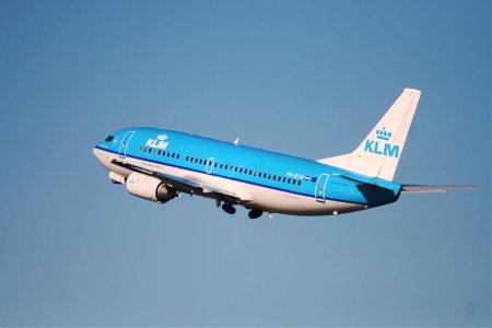 IMG_0705.jpg