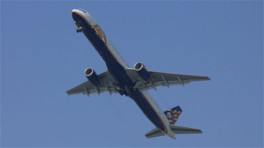 tz06.jpg