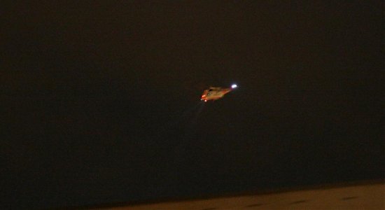 seaking 1.jpg