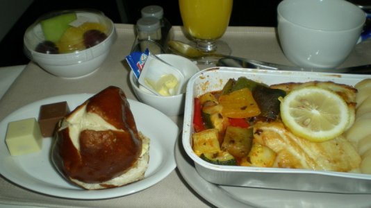 Sk994 2nd meal.jpg