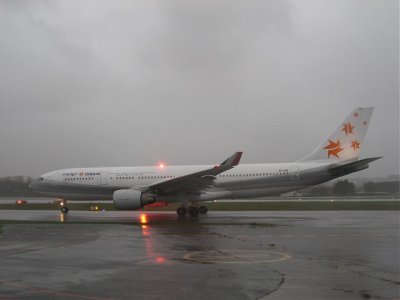 IMG_3146.jpg