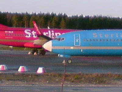 arn3.jpg