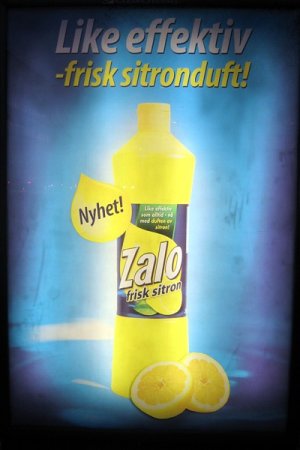 Zalo.jpg
