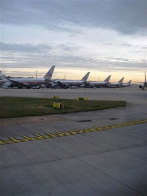 AA samling LHR 13nov08.jpg
